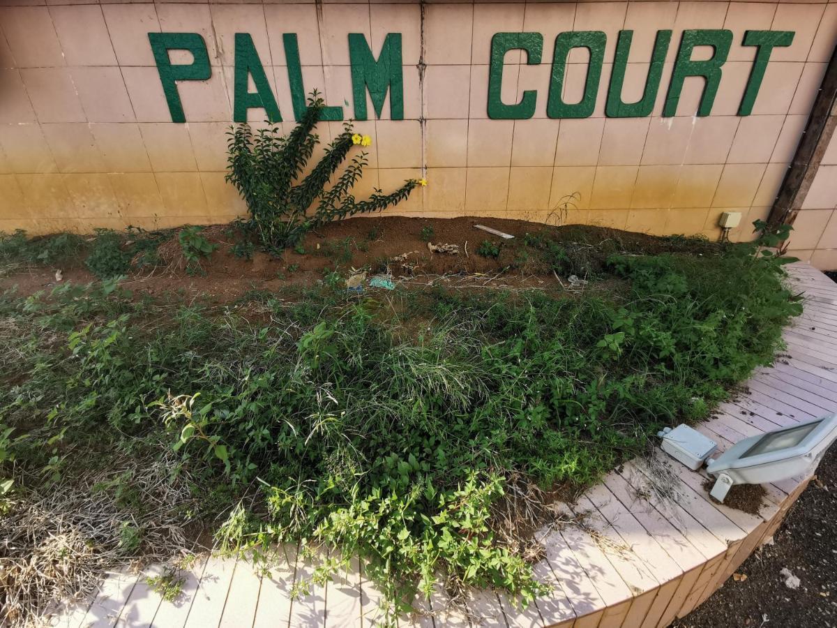 Diy Palm Court Bedroom Kuantan Luaran gambar